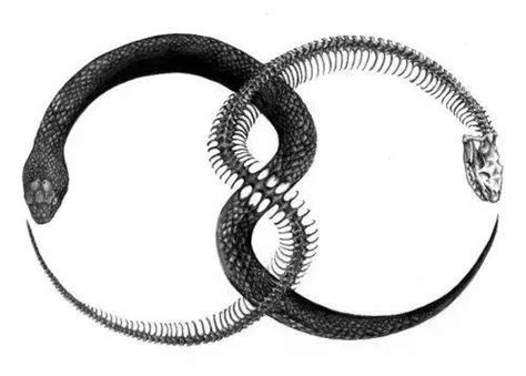 蛇象徵 坐 meaning